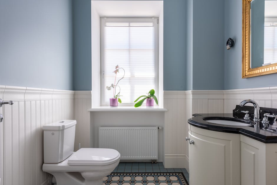 Toilet Repair & Installation in Redmond, WA - The Redmond Plumber
